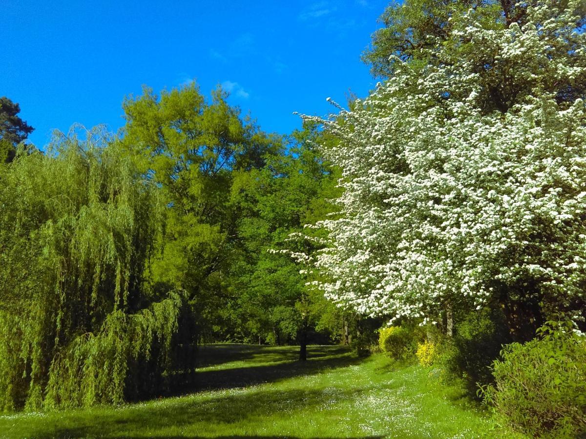 הוילה Moulin De Saint Cricq מראה חיצוני תמונה